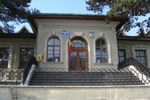 Judecatoria Moinesti